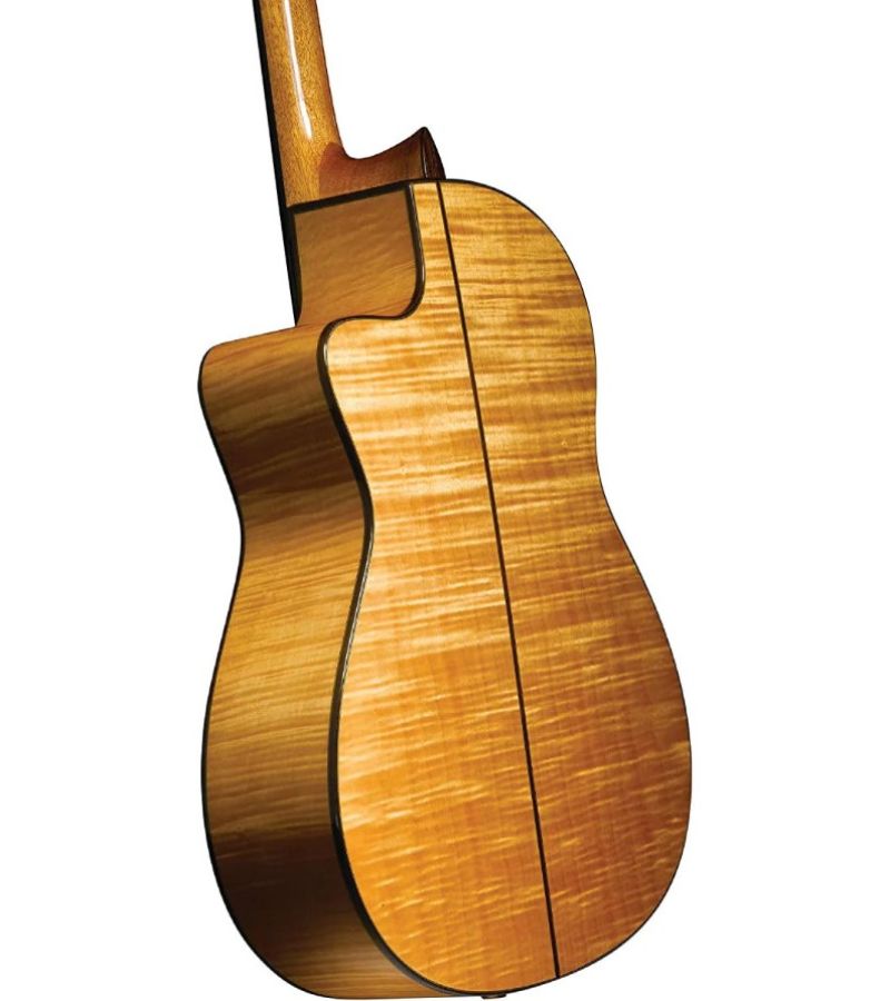 Mua Guitar Điện Đà Nẵng
